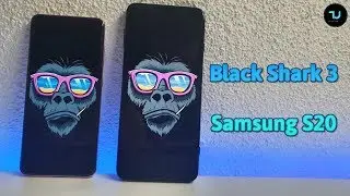 Samsung S20 vs Black Shark 3 Camera comparison/Screen/Size/Sound Speakers/Design! review