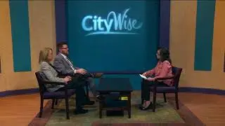 CityWise: 