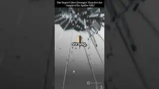 The Super Fiber Stronger Than Kevlar &ndash; Inspired by Spider Silk!
