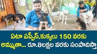 Dog Breeding Business | ఏటా పప్పీస్, కుక్కలు 150వరకు అమ్ముతా, రూ.8లక్షల వరకు సంపాదిస్తా..! Tone Agri