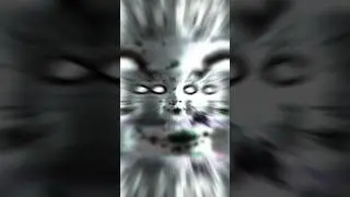 DATOS PERTURBADORES (parte 3) 😱 que no sab&iacute;as
