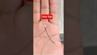Mars line. #hastrekha #jyotish #palmreading #astrology #palmistry
