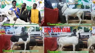 FODDAK 2025 / EXPOSITION DE LA BERGERIE TOUBA KHAIRA
