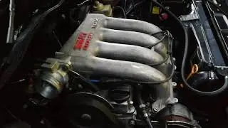 Vw 16v in for a spitronics Orion management fit and tuning
