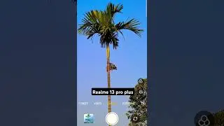#music #edm #trending #zoom #ultrazoom #120zoom #samsungs24ultra #realme13proplus5g
