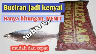 Cara Mengenyalkan Pelet Merah Umpan Ikan Bandeng