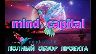 Mind Capital  ПОДРОБНЫЙ ОБЗОР ПРОЕКТА Mind Capital