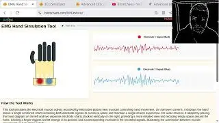Building Realistic EEG & EMG Simulations with AI: Stochastic Signal Processing