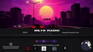 Ghetto Storm Productions Presents WILYS RADIO LOFI & LOUNGE MIX