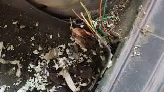 Hyundai santro 5 year no use repair redy to start 👍done fueal pump chenge elactric complint#mu