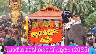 #പാർക്കാടി പൂരം#(2025) #പങ്കെടുത്ത ആനകളുടെ മുഴു വീഡിയോ# #Parkkadi Pooram# #All elephant Vedio#(2025)