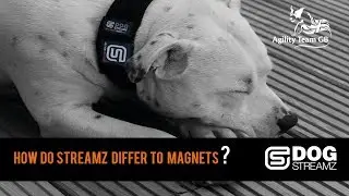 DOG StreamZ smart collars and how they differ to magnet therapy (Full version)