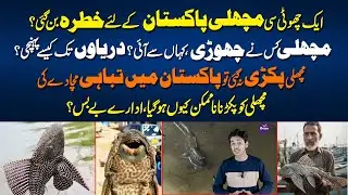 Alien Fish in Pakistan | How It Is Destroying Rivers & Fisheries | A Threat to Pakistan&rsquo;s Waters