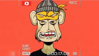 🎧music video Monkey DJ EDM Mix 2025 🐒 | Viral Electronic Music | Funny Dancing Animals | DjMonkey.