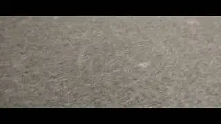 Как сделать собаке комфорт