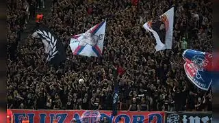 FCSB, sub ploi și sub soare.  #fcsb #steaua #football #peluzanord 