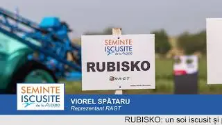 RUBISKO &ndash; soi de grau rezistent la ger, cadere si boli