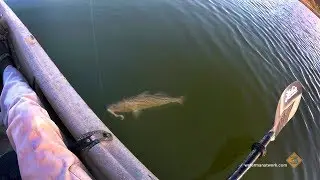 Kayak Fishing for Colorado River Striped Bass