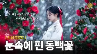 [감성트로트] 눈속에 핀 동백꽃 \끝까지 들어 보세요^^; \ #ktrot #kpop #kballad #kmusic #트로트 #미스터트롯 #음악 #노래 #가요 #국악음악