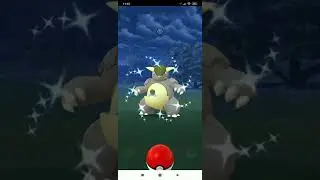 ✨ Shiny Regionals Pokemon Kangaskhan ✨ Шайни региональный Покемон
