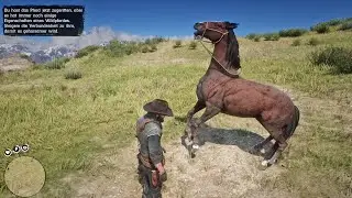 RDR2 - Blood Bay Thoroughbred with Location!