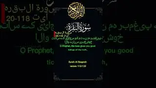 Surah Al-Baqarah &ndash; Verses 118&ndash;120 | Recitation of Quran | Quran Majeed | Quran Sharif