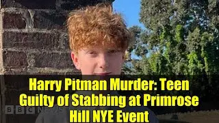 Harry Pitman Murder: Teen Guilty of Stabbing at Primrose Hill NYE Event