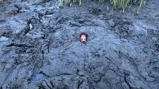Sinking in sticky quicksand and explaining how to get cleaned up