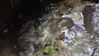 Peaceful Water Sounds for Sleep, Study, and Relaxation