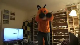 Jet Fox dances to What Does The Fox Say
