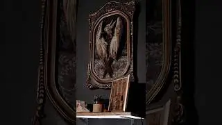 + bird + #oddities #xmoonmoth #vultureculture #bones #taxidermy #odditiesdecor