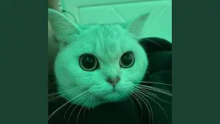 наколки (Opiumcore)