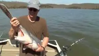 Paddlefish Snagging in Missouri (MU CAFNR)