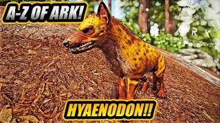 A-Z Of Ark! The HYAENODON, The Best Doggo Ever!! || Ark Survival Evolved!