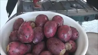 Prickly Pear Jelly Video for Children