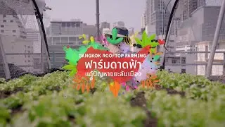 เพื่อนคู่คิด | ฟาร์มดาดฟ้า แก้ปัญหาขยะล้นเมือง (Bangkok Rooftop Farming)