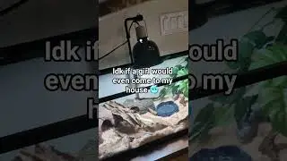 Eh, sneks are better 😂