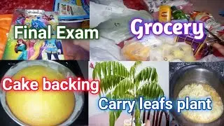 Cake backing ki | pari k final Exam | carry leafs plant le liya | grocery ki | full busy day...