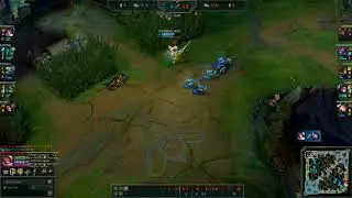 Ouplay.mp4 (3)   // Fiora Outplay