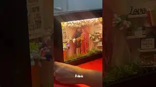 Making of Wedding Miniature | Miniature 3d Box | DIY Craft Miniature Frame