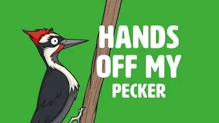 How To Play Hands Off My Pecker Card Game
