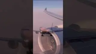 Your golden flight hour  #aviation #airbus #boeing #embraer #edit #goldenhour #flight #shorts