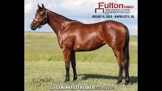 2019 Fulton Sale - Lot 2 Giveawinktostreaker