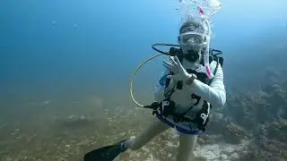 St. Thomas Scuba Diving