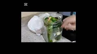 خيار مخلل باسهل واسرع طريقه وتريكات هتوديه في حته تانيه✨✨#خيار #تيتانواره #مخلل