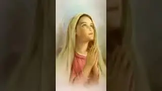 Hail Mary🙏 #prayer#catholic#hailmary#luzon#olongapo#visayas#iloilo#fyp#2026#amen#devotional#mass