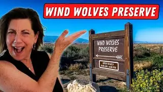 Исследуйте заповедник Wind Wolves в Бейкерсфилде, Калифорния