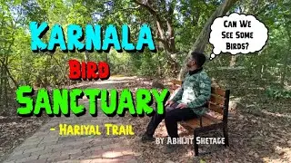Can You Really See Birds at Karnala Bird Sanctuary? | Birdwatching Vlog & Travel Guide #vlog #birds