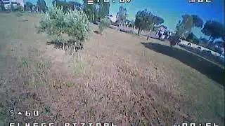 flyegg100 speed!!!