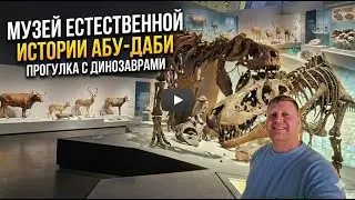 Dinosaurs in Abu Dhabi! National History Museum &ndash; the best exhibits and finds!